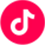 TikTok Icon